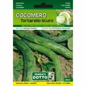 Cetriolo Cocomero Tortarello scuro (da orto) - Sementi Dotto